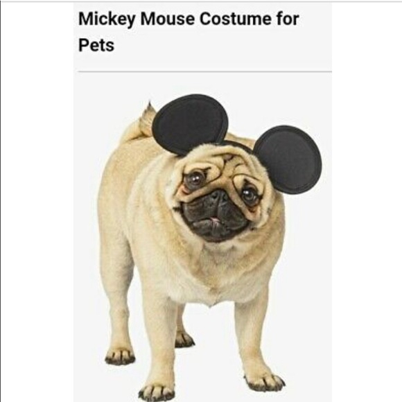 Disney Other - *FREE! with $9 purchase” Mickey and Friends Mouse pet ears